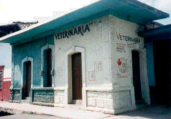 Clínica Veterinaria